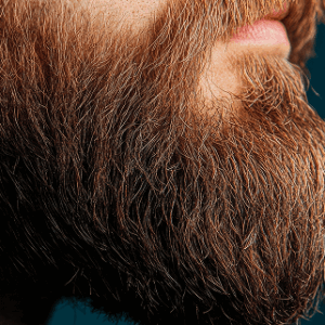 FUE Beard or Eyebrow Consultation